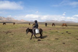 central asia kirghizistan stefano majno song kul donkey.jpg